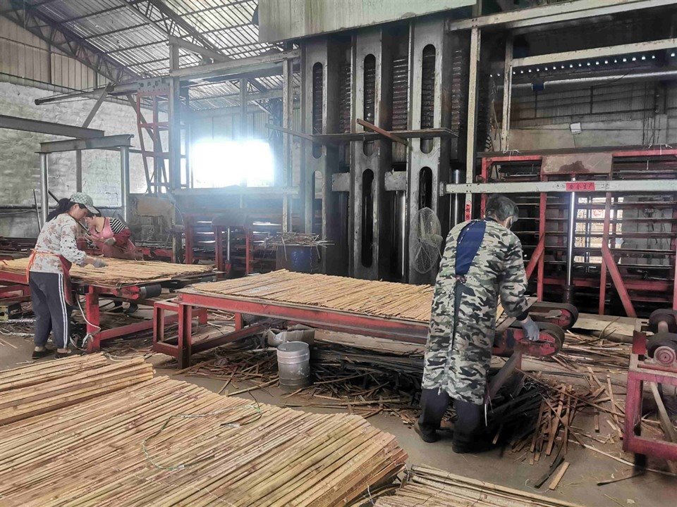 Bamboo Plywood Hot Press factory